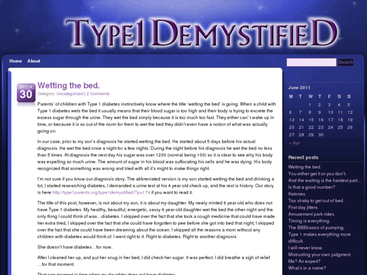 www.type1demystified.com