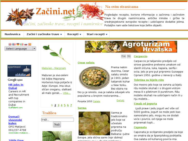 www.zacini.net