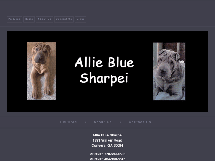 www.alliebluesharpei.com