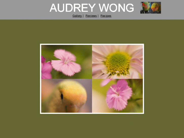 www.audreywong.com