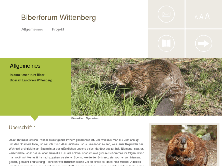www.biber-wittenberg.de