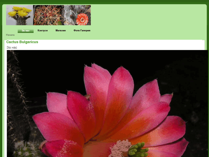 www.cactus-bulgaricus.com