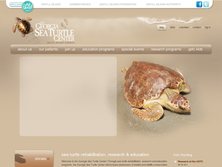 www.gaseaturtle.com