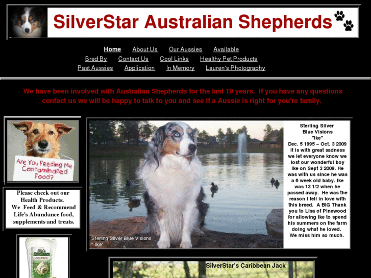 www.silverstaraussies.com