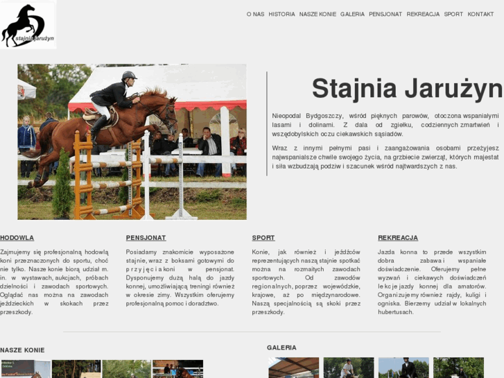www.stajniajaruzyn.pl