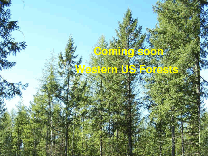 www.westernusforests.com