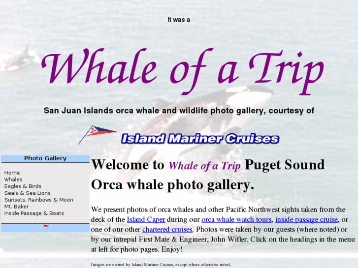 www.whaleofatrip.com