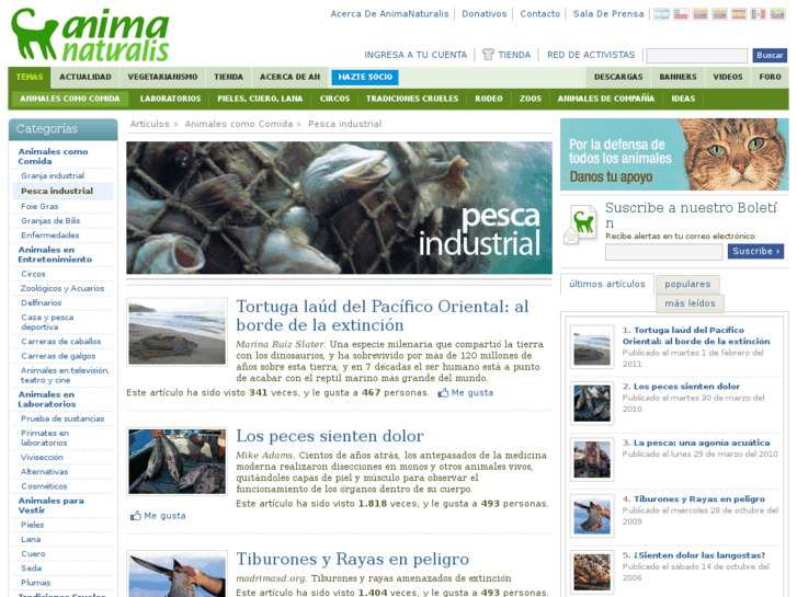 www.pescaindustrial.org