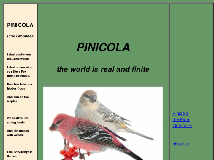 www.pinicola.ca