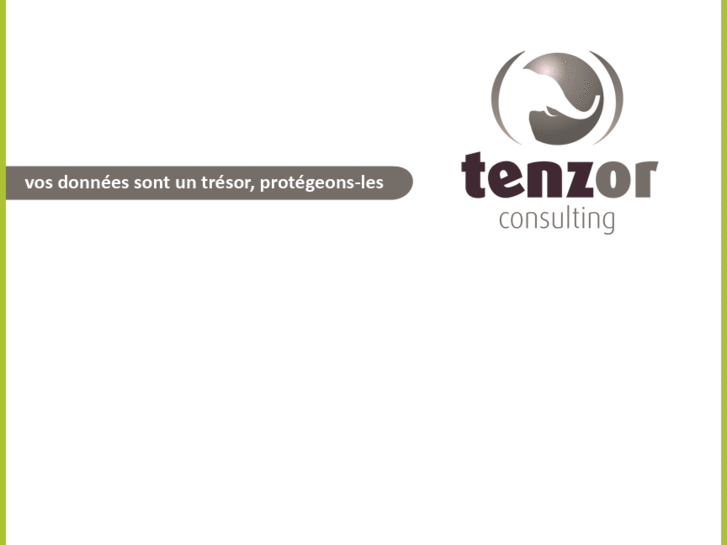 www.tenzor-consulting.com