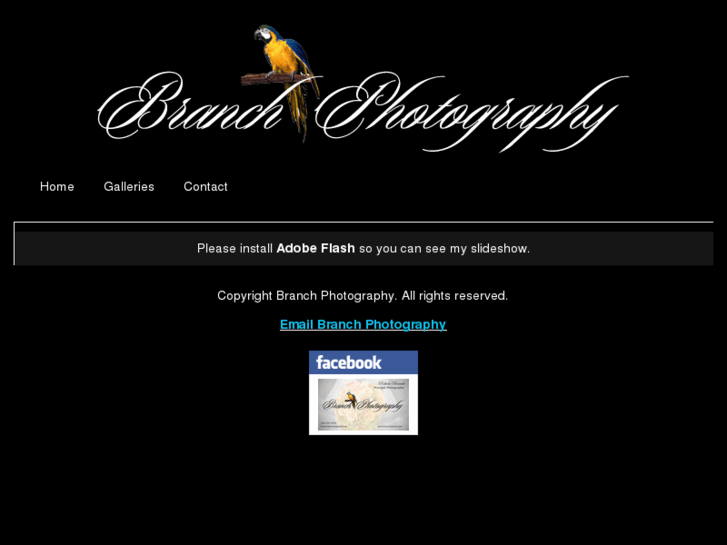 www.branchphoto.com