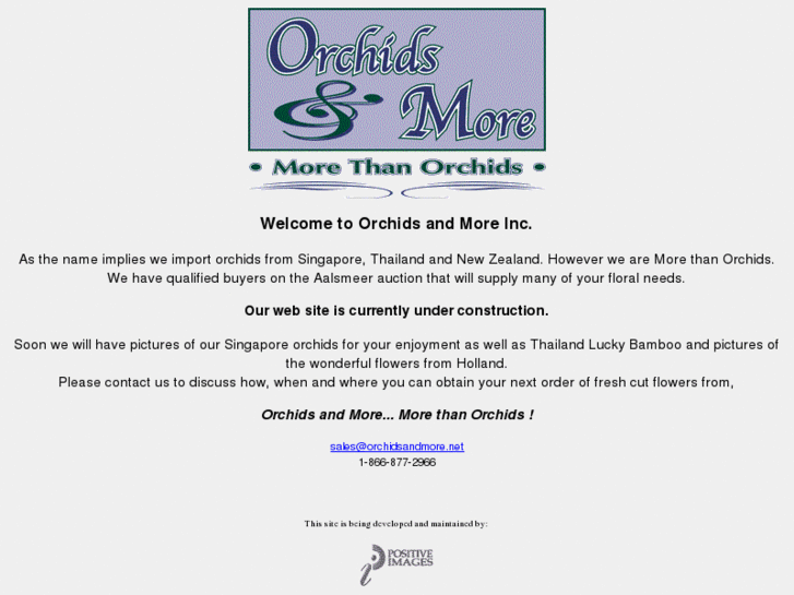 www.orchidsandmore.net