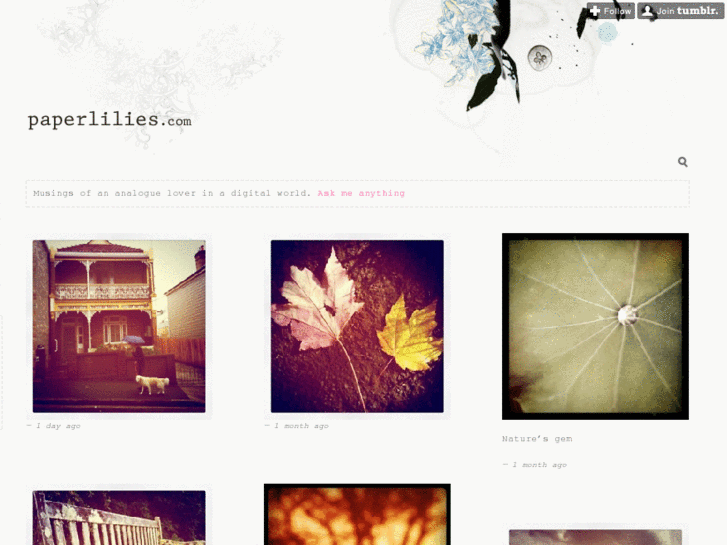 www.paperlilies.com