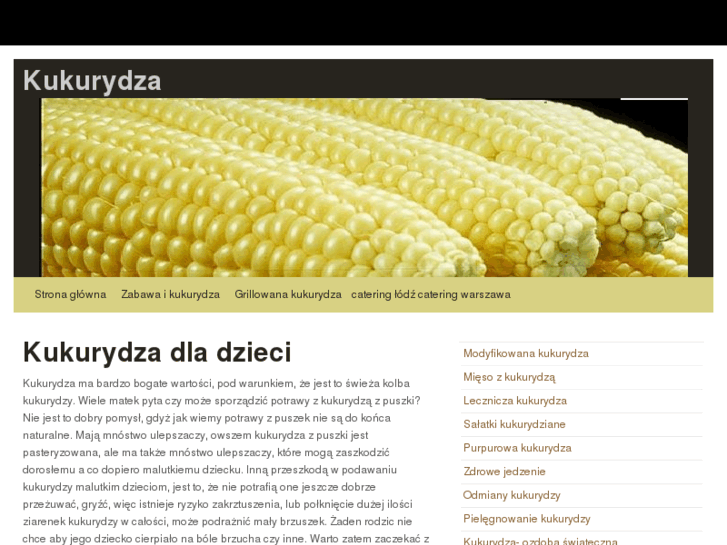 www.21stcorn.com