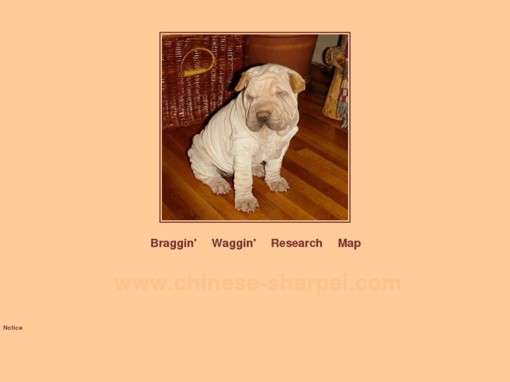 www.chinese-sharpei.com