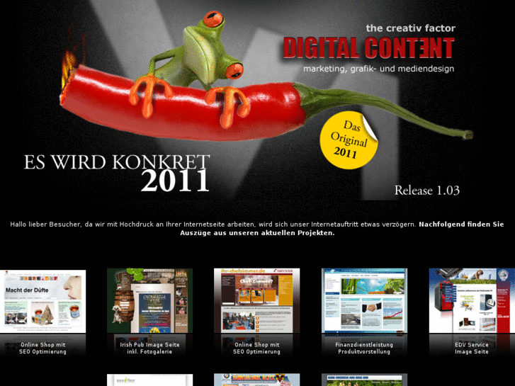 www.digicont.de