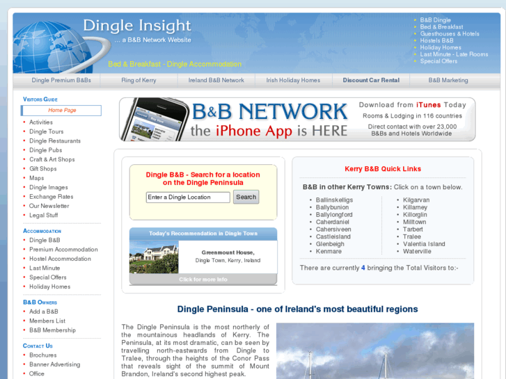 www.dingle-insight.com