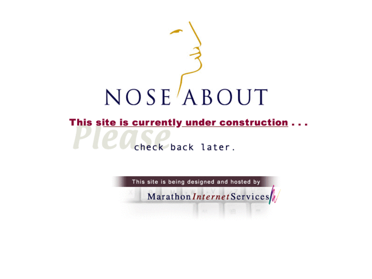 www.noseabout.com