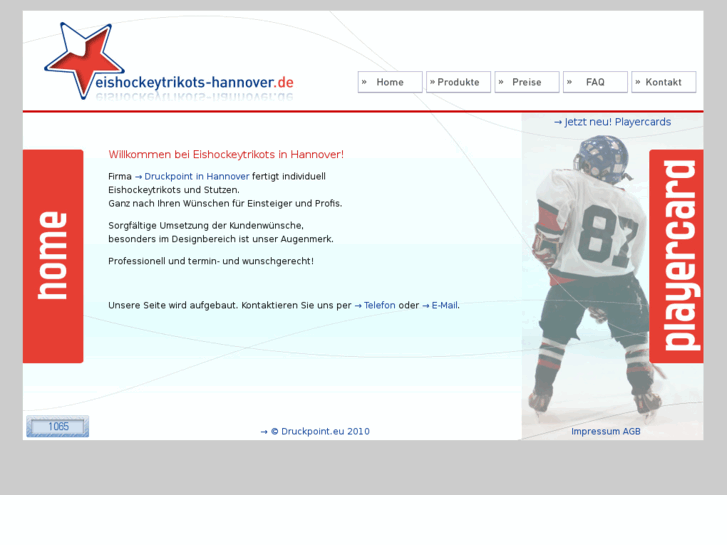 www.eishockeytrikots-hannover.com