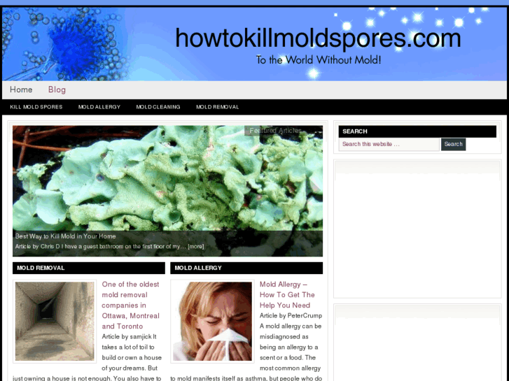 www.how-to-kill-mold.net