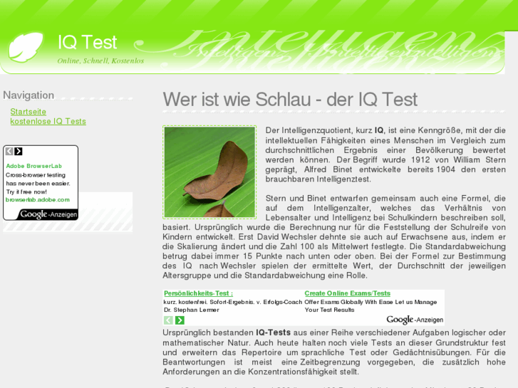 www.iq-test-kostenlos.net