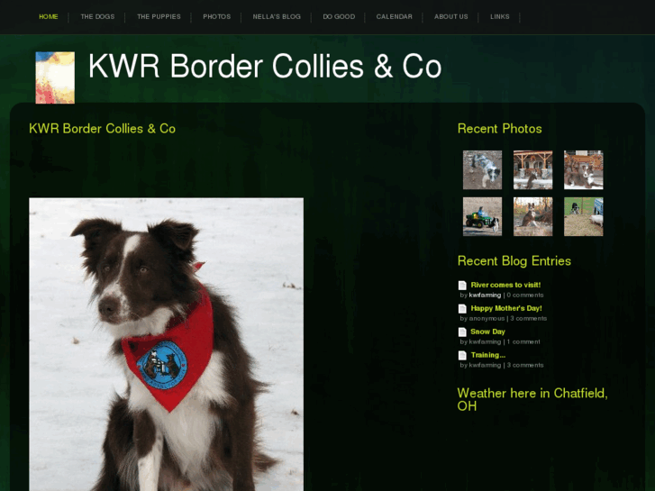 www.kwrbordercollies.com