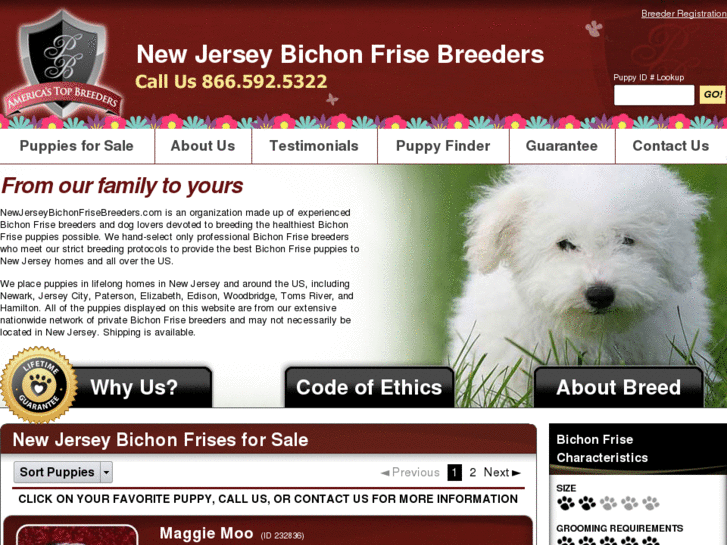 www.newjerseybichonfrisebreeders.com