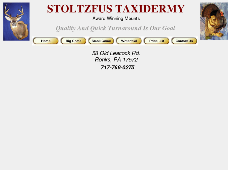 www.stoltzfustaxidermy.com