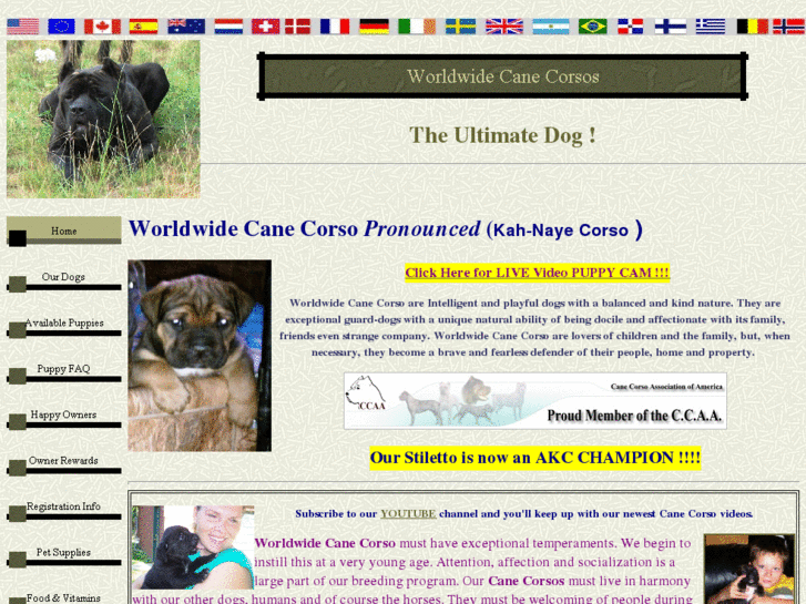 www.worldwidecanecorso.com