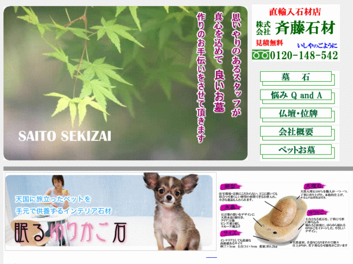 www.saitosekizai.com