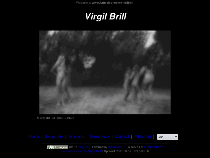 www.virgil-brill.com