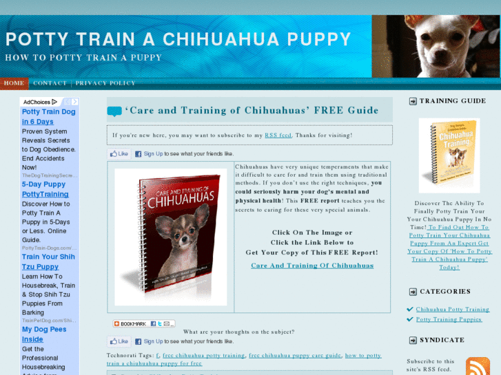 www.pottytrainachihuahuapuppy.com