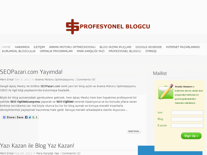 www.profesyonelblogcu.com