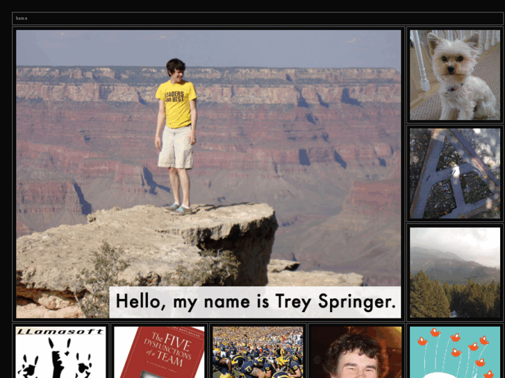 www.treyspringer.com