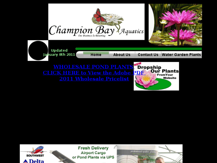 www.championbayaquatics.com