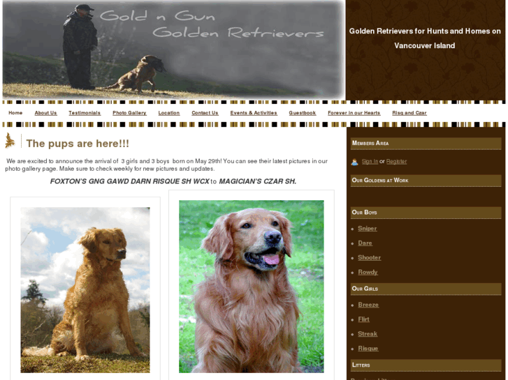 www.goldngunretrievers.com