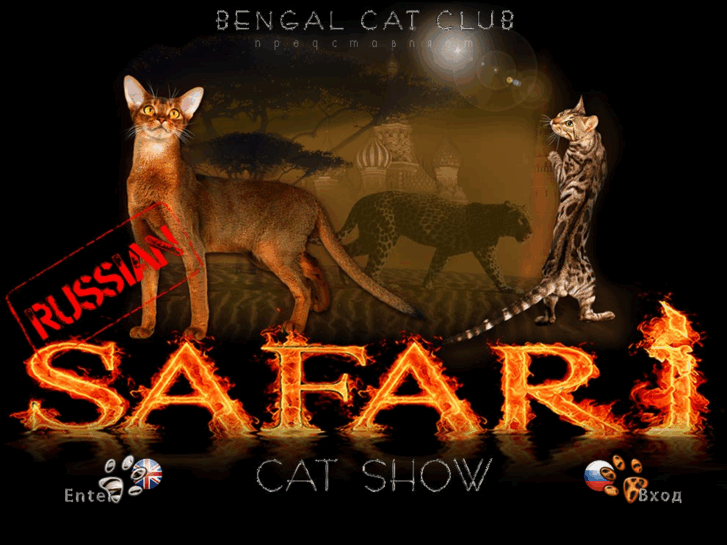 www.safaricatshow.ru