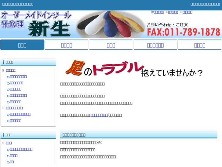 www.shinsei-insole.com