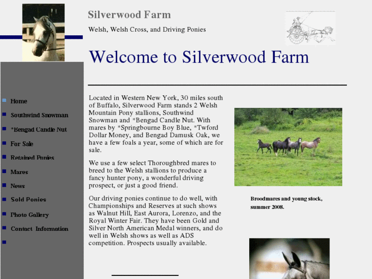 www.silverwoodfarmwelsh.com