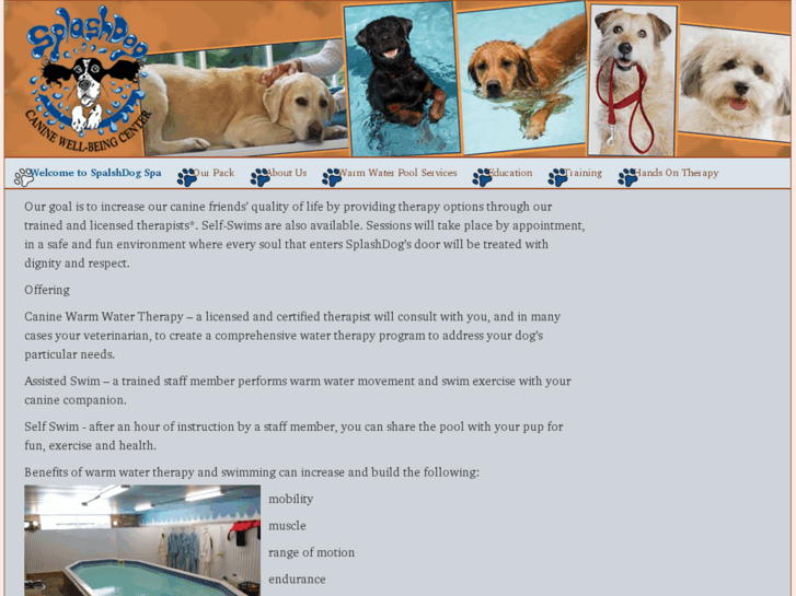 www.splashdogspa.com