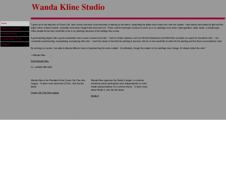 www.wandaklinestudio.com