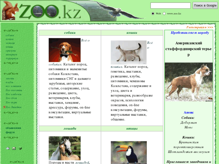 www.zoo.kz