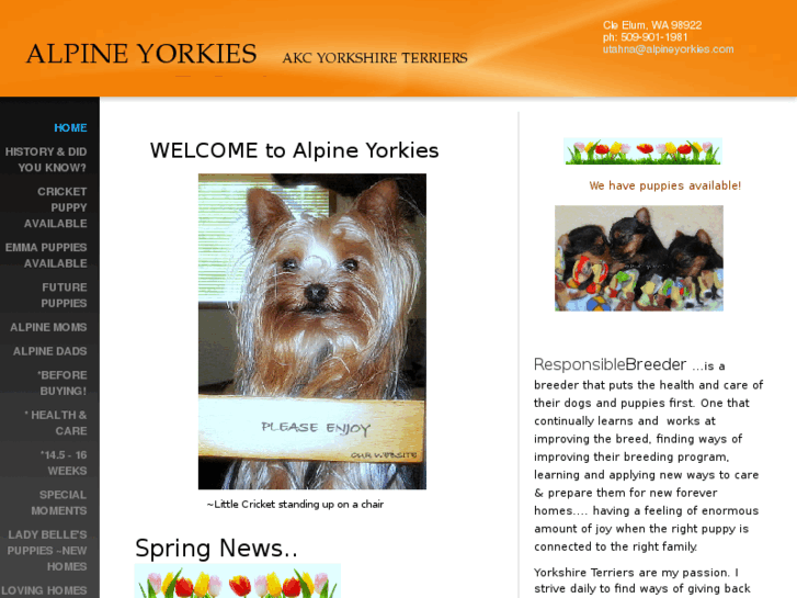 www.alpineyorkies.com