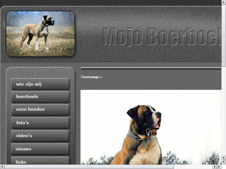 www.boerboel.info