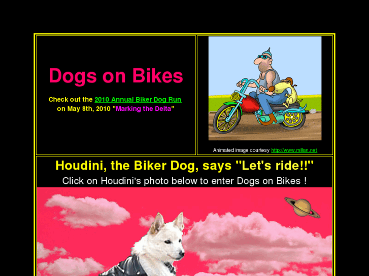 www.dogsonbikes.com