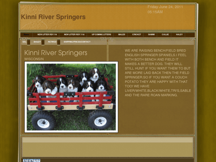 www.kinniriverspringers.com