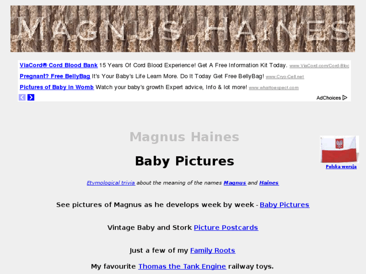 www.magnushaines.com