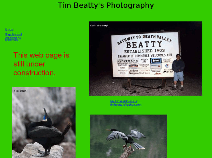 www.timbeatty.com