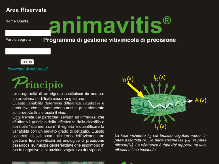 www.animavitis.com