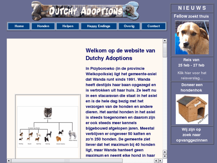 www.dutchyadoptions.com